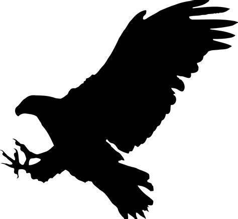 Eagles clipart shadow, Eagles shadow Transparent FREE for download on ...