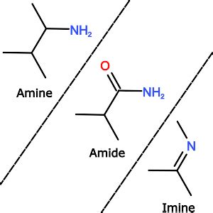 Amine vs. Amide vs. Imine - PSIBERG