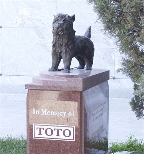 Toto the Hollywood working dog | Pet memorials, Buy a dog, Toto