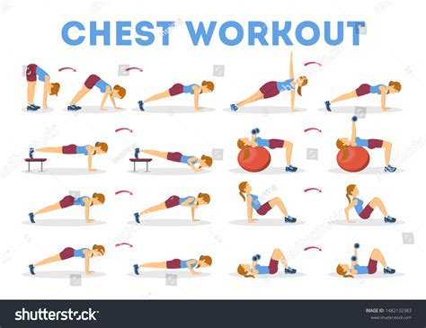 Chest Workout Set Collection Exercise Arm Stock Vector (Royalty Free) 1482132383 | Shutterstock