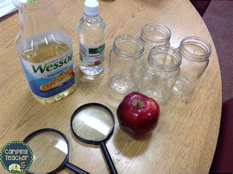 CampingTeacher: Apples Experiment