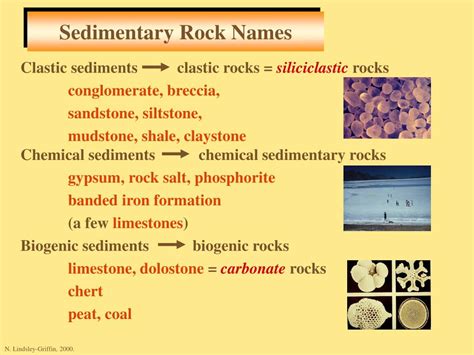 PPT - Sediments and Sedimentary Rocks PowerPoint Presentation, free download - ID:518549