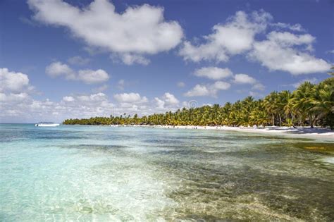 Dominican Republic, the Caribbean Sea, the Sunny Beaches of Saona Island Stock Image - Image of ...