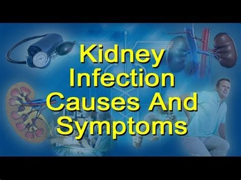 Kidney Infection Causes, Symptoms - Glomerulonephritis and Pyelonephritis - YouTube
