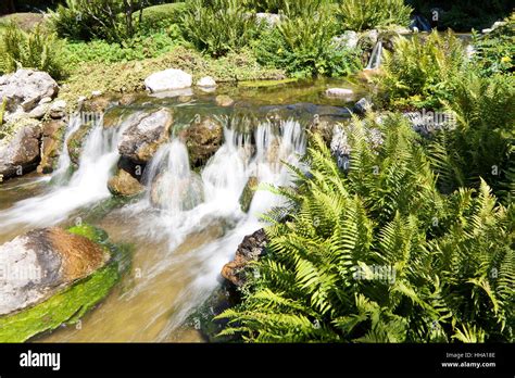 waterfall in japanese garden Stock Photo - Alamy