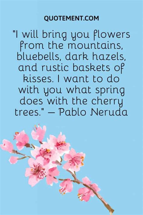 80 Best Cherry Blossom Quotes To Celebrate Perpetual Beauty