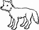 Free Printable Coyote Coloring Pages For Kids sketch template