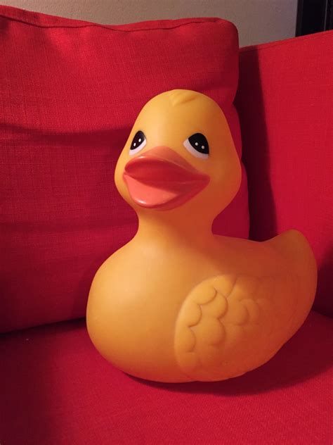 Behold, the largest rubber duck in my collection : r/rubberducks