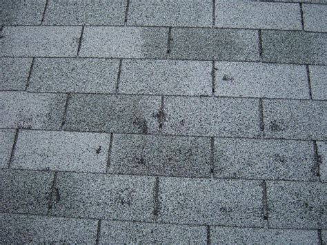 Signs Of Hail & Wind Damage On Your Roof | Storm Damage