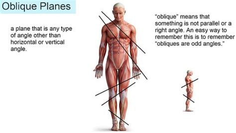 Oblique Plane – Rish Academy