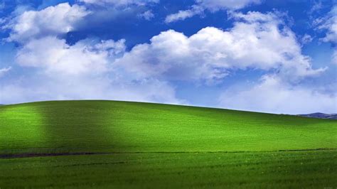 🔥 Free Download Bliss Windowsxp Default Wallpaper Animated by @patrickp45 | WallpaperSafari