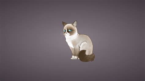 Grumpy Cat Meme Wallpaper - WallpaperSafari