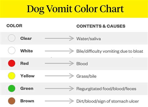 What Does The Color Of Dog Vomit Mean