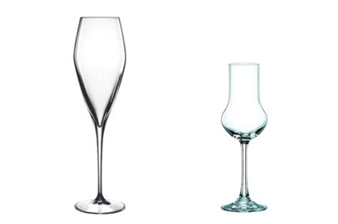 The Fun Behind Choosing the Right Wine Glass Shapes