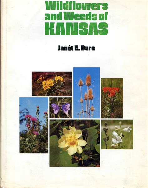 A New Must-Have Plant Identification Book for Kansas - Dyck Arboretum