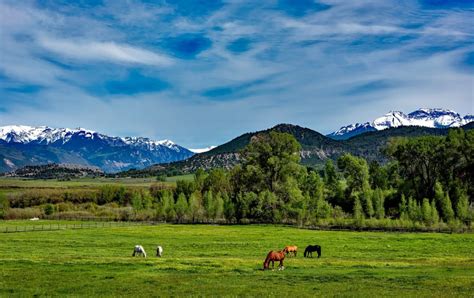 Lakewood Colorado Photographer | Gary Sheer Photography