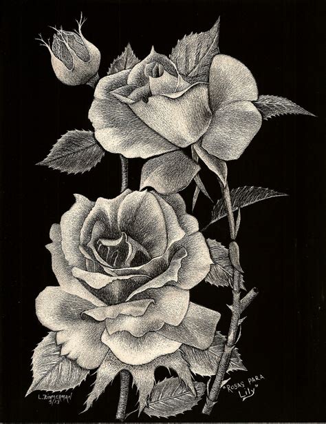 PRINTS : Rosas para Lily | Scratchboard art, Scratchboard, Charcoal art