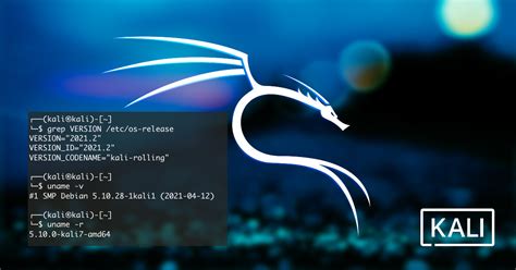 Kali Linux 2021.2 Release (Kaboxer, Kali-Tweaks, Bleeding-Edge ...