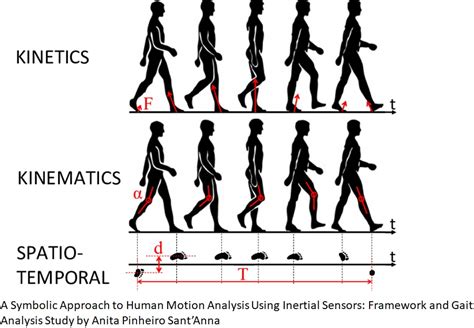 Engineering at Alberta Courses » Gait analysis