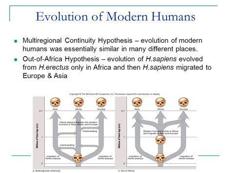 Multiregional Hypothesis