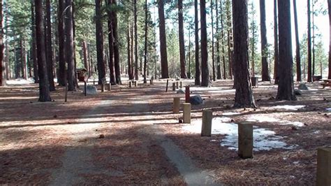 A Night Under the Stars: Camping in South Lake Tahoe