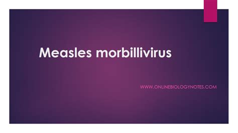 Measles morbillivirus - Online Biology Notes