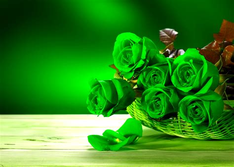 Free 3D Roses Cliparts, Download Free 3D Roses Cliparts png images, Free ClipArts on Clipart Library