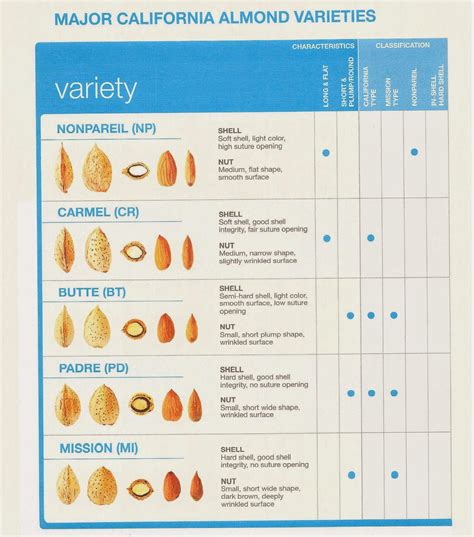 Almond varieties