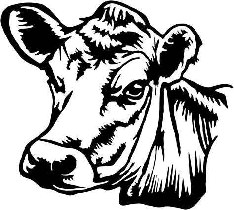 Cow Head Drawing at GetDrawings | Free download