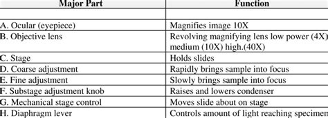 Parts Of A Microscope And Their Functions