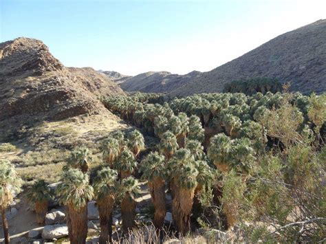 Agua Caliente Band seeks support at critical stage in water rights case