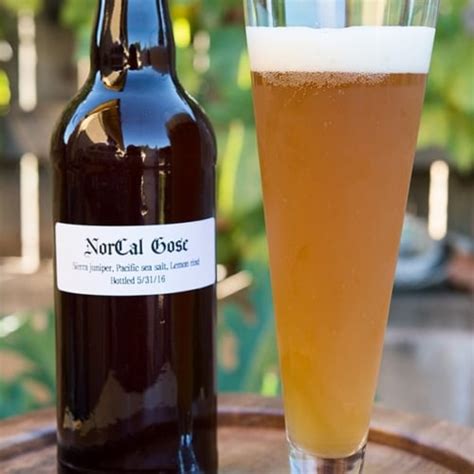 Gose Beer Recipe - Hunter Angler Gardener Cook