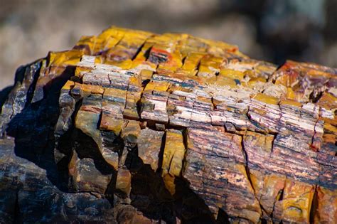 Escalante Petrified Forest State Park, Escalante | Expedia.se