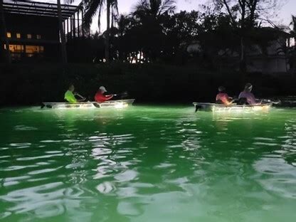 REAL FLORIDA - Clear Kayak LED Night Tour - Events - Venice Newcomers Club