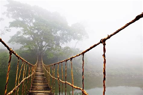 Beautiful Rope Bridges Around Vietnam | Vietnam Times