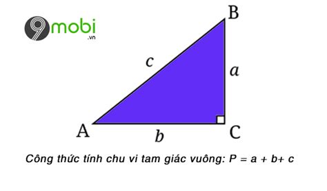 Cách tính chu vi tam giác đều, cân, vuông, có ví dụ minh họa - Tài Liệu ...