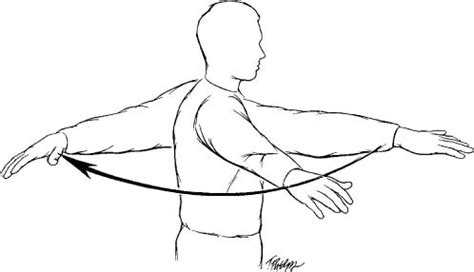 Shoulder Range of Motion | Musculoskeletal Key