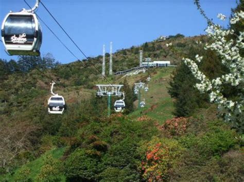 The Rotorua Luge is SUPER FUN For Anyone And Everyone