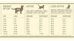 13 Facts On How Much Wet And Dry Food To Feed A Cat