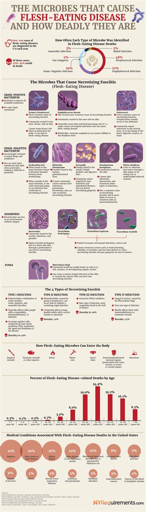 The Microbes That Cause Flesh-Eating Disease and How Deadly They Are - NY Requirements Blog