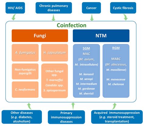 Antibiotics | Free Full-Text | Opportunist Coinfections by Nontuberculous Mycobacteria and Fungi ...