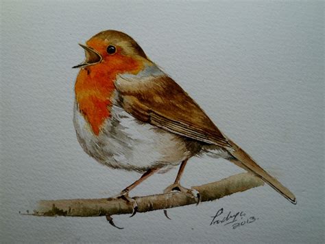 watercolour robin - Google Search | Bird drawings, Watercolor bird, Robin drawing