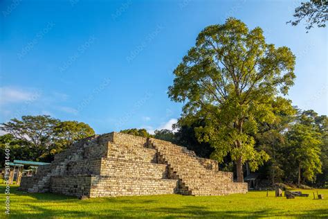 A Mayan pyramid next to a tree in Copan Ruinas temples. Honduras Stock Photo | Adobe Stock