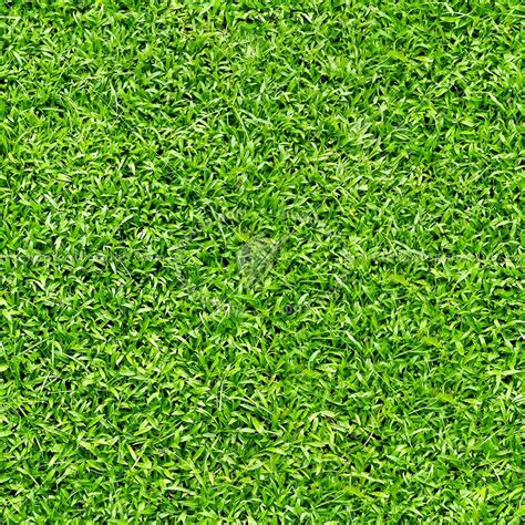 Greengrass Texture Seamless