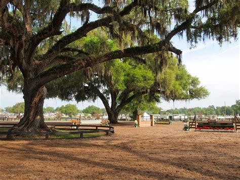 4 Unique Things to Do in Ocala, Florida