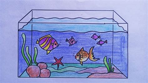 How to draw a Fish Tank Aquarium || Easy step by step || Fish aquarium drawing. | Kartun, Gambar ...