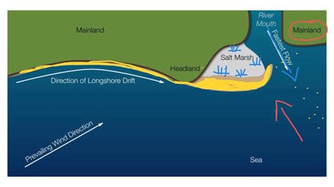 Labelled Diagram To Show The Process Of Longshore Drift Solv