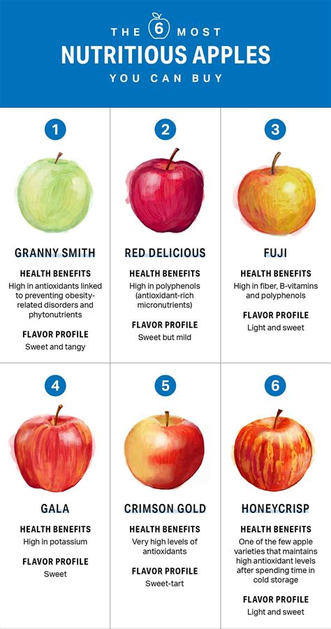 Do Apples Have Any Protein? Uncovering The Truth About Apple Nutrition