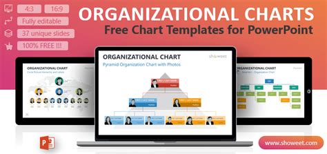 Organogram Template Powerpoint | HQ Printable Documents