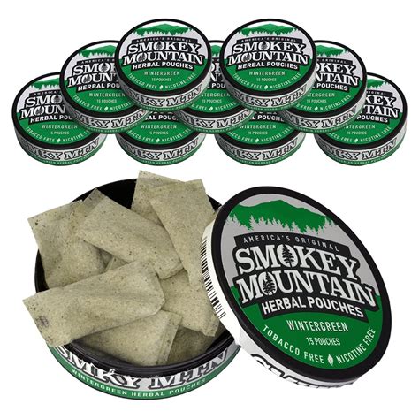 Nicotine-Free Smokey Mountain Pouches - Wintergreen Flavor - 10 Cans, 15 Energy Pouches Per Can